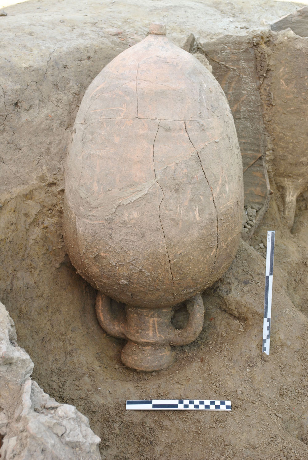 Scavo e Assistenza Archeologica