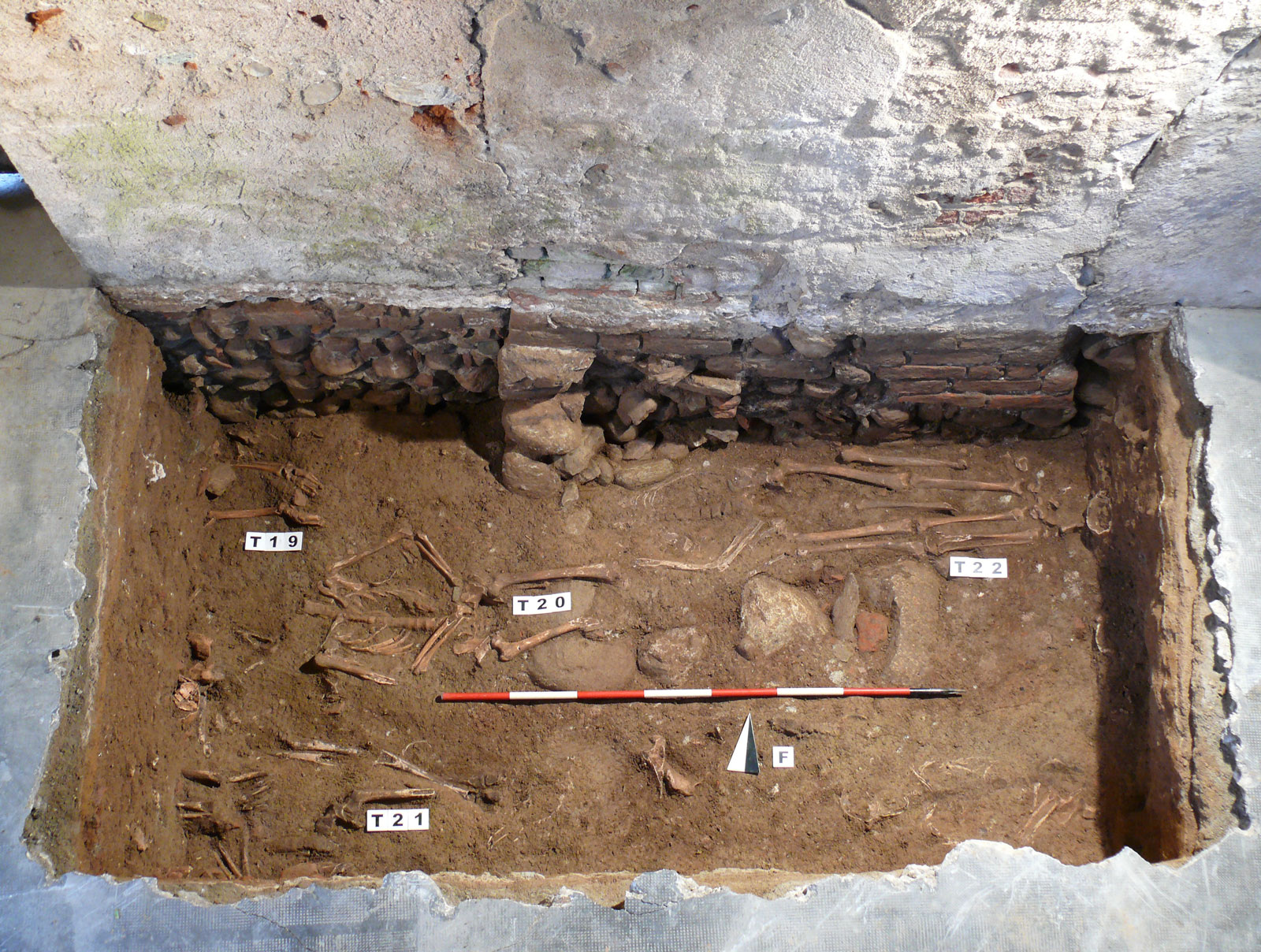 Scavo e Assistenza Archeologica